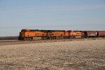 BNSF 8119